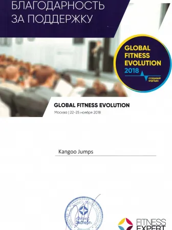 GLOBAL FITNESS EVOLUTION
